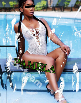 PAMELA